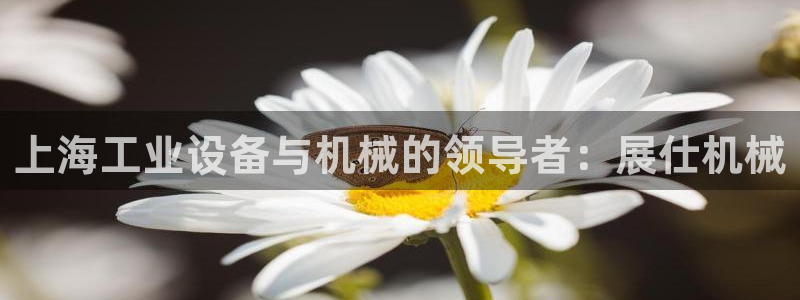 九游会线上平台下架吗