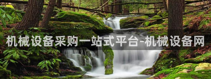 九游会集团货币
