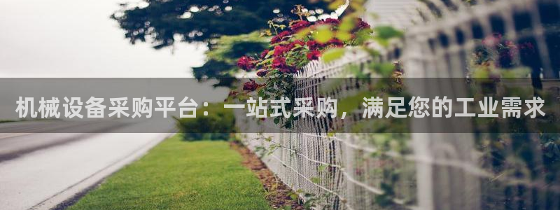 九游会线上平台吗