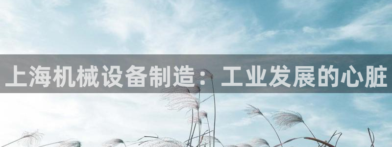 九游会ag官方平台