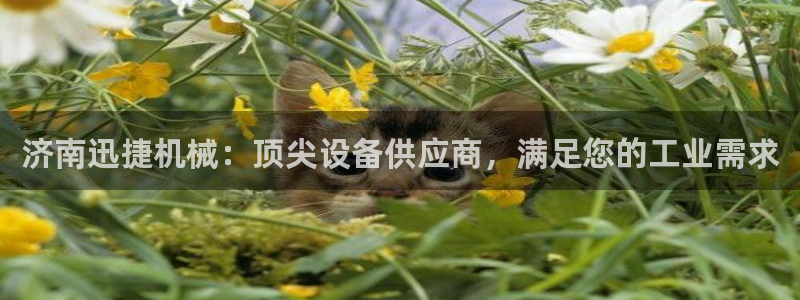 九游会黑吗