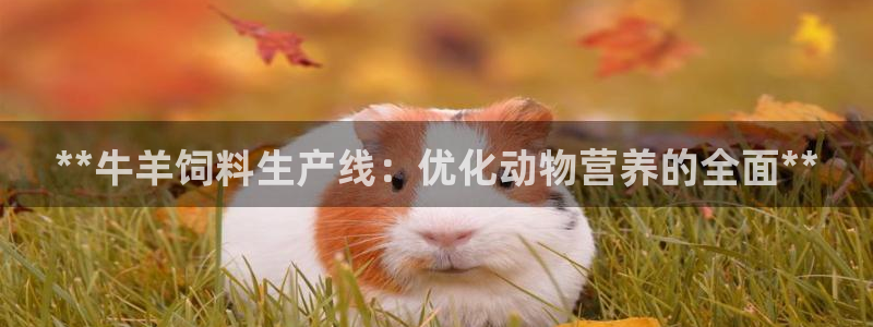 九游会j9官网网站
