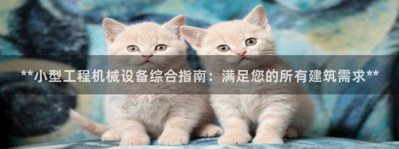 九游会大家觉得怎么样