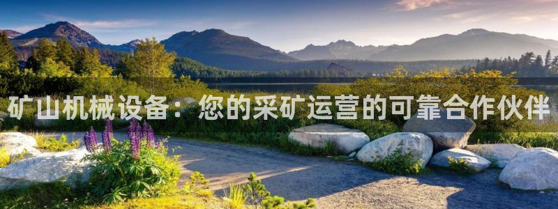 九游会官网进入口