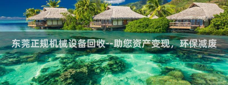 九游官网j9活动介绍