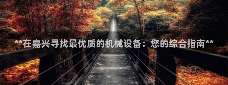 九游会是大平台吗