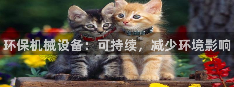 j9九游会游戏