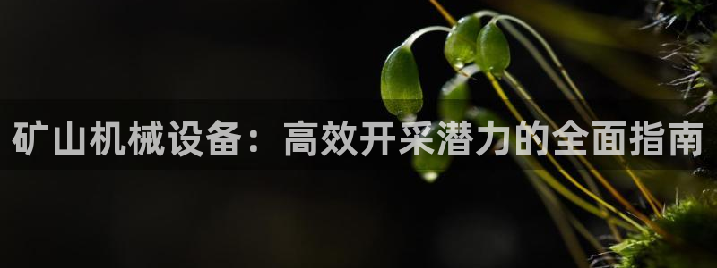 九游会跟ag是怎么一回事