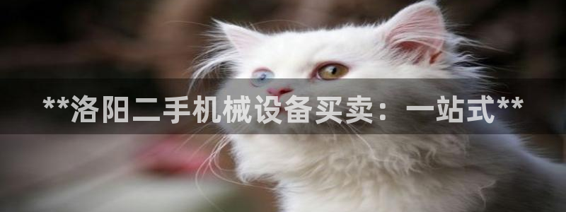 ag九游会j9