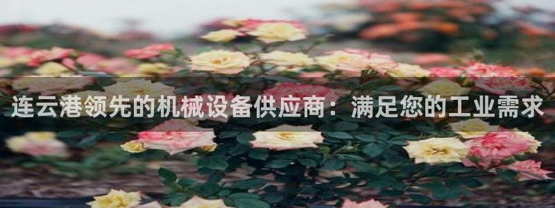 J9九游会老哥俱乐部官方