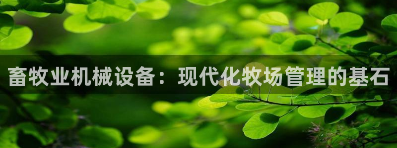 九游会是什么组织