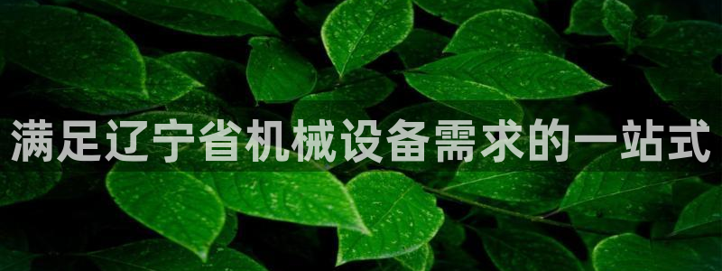 九游会ag入口