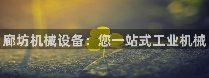 九游会是大平台吗