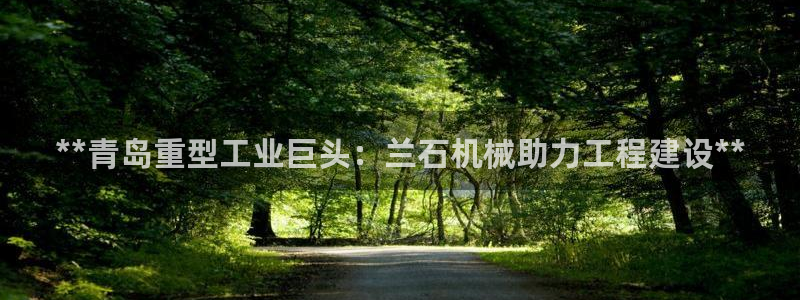 九游会怎么提款