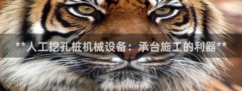ag九游网