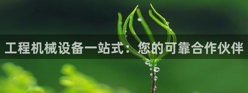 九游会平台j9