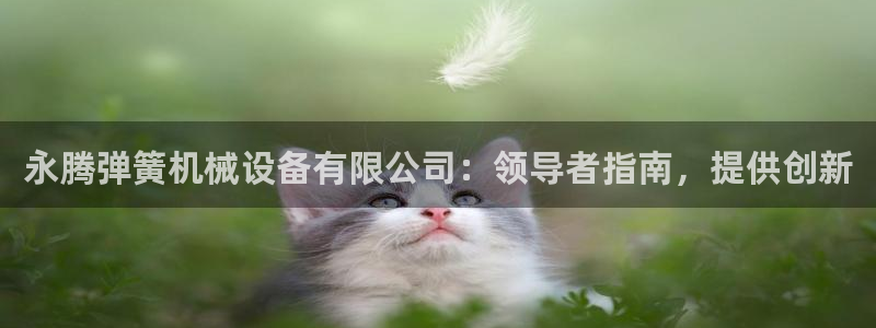 九游会集团正规吗