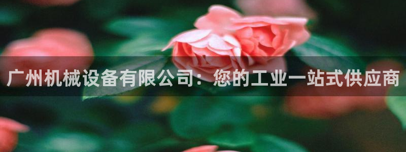 usdt九游会老哥俱乐部