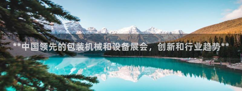 九游会数字货币