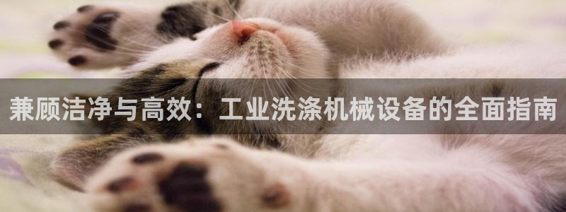 usdt九游会老哥俱乐部