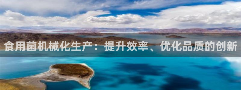 ag老队友
