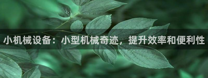 九游会网址九