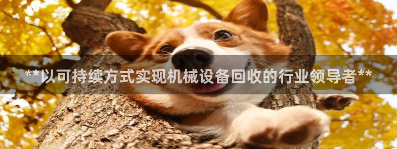 j9九游会最新官网