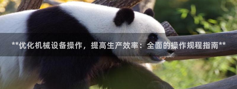 九游会ag官方网站在哪