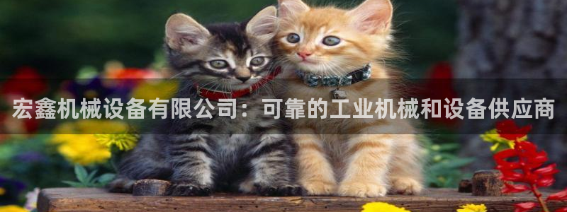 九游会官网下载