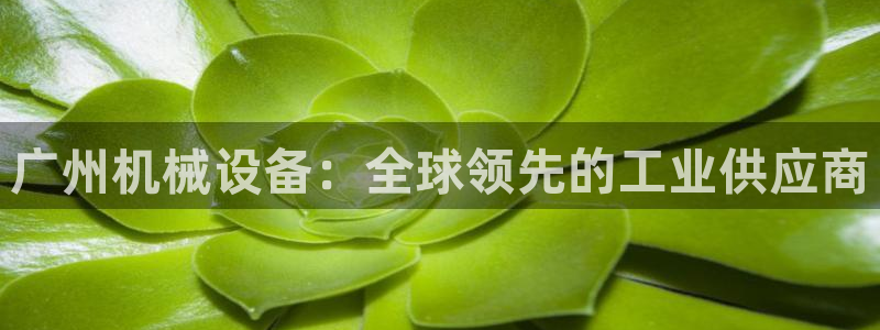 九游会是什么平台
