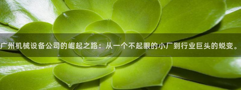 j9九游会如何充值