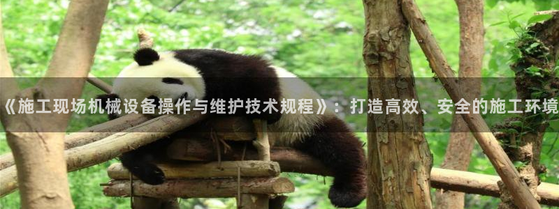 九游会老哥俱乐部论坛版