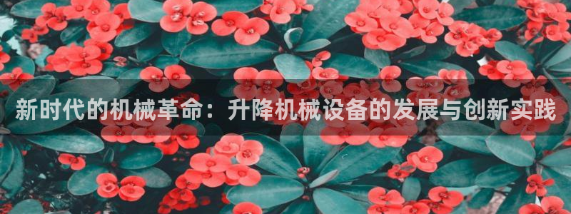 J9九游会几千也会黑