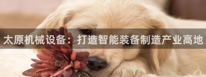 九游会ag私享
