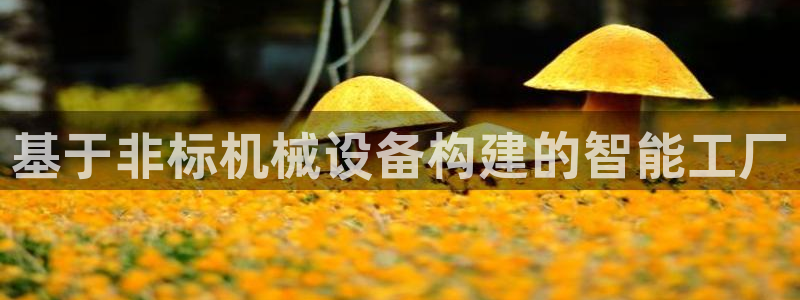 九游会老哥论坛：基于