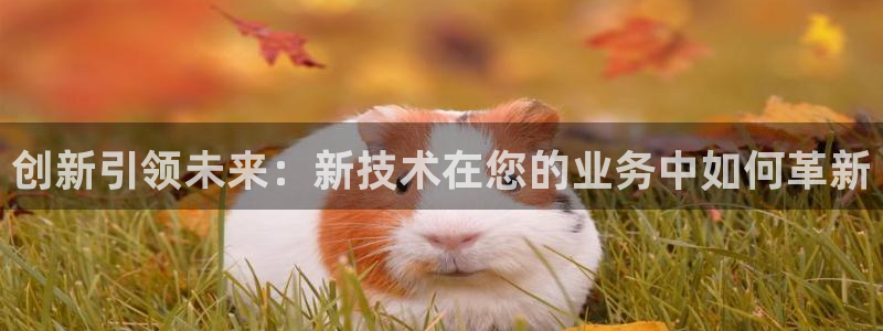九游会ag亚洲