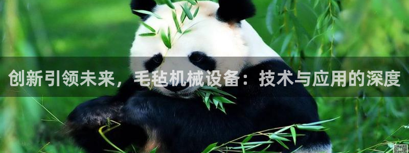 九游会是什么组织